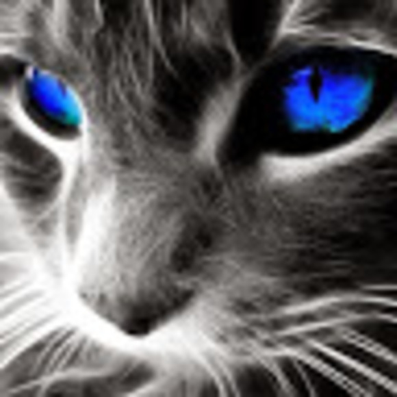 Meet your Posher, Thomas - Picture 1 of 1